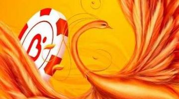 Жар Птица – не волшебная птица Жар Птица – не волшебная птица